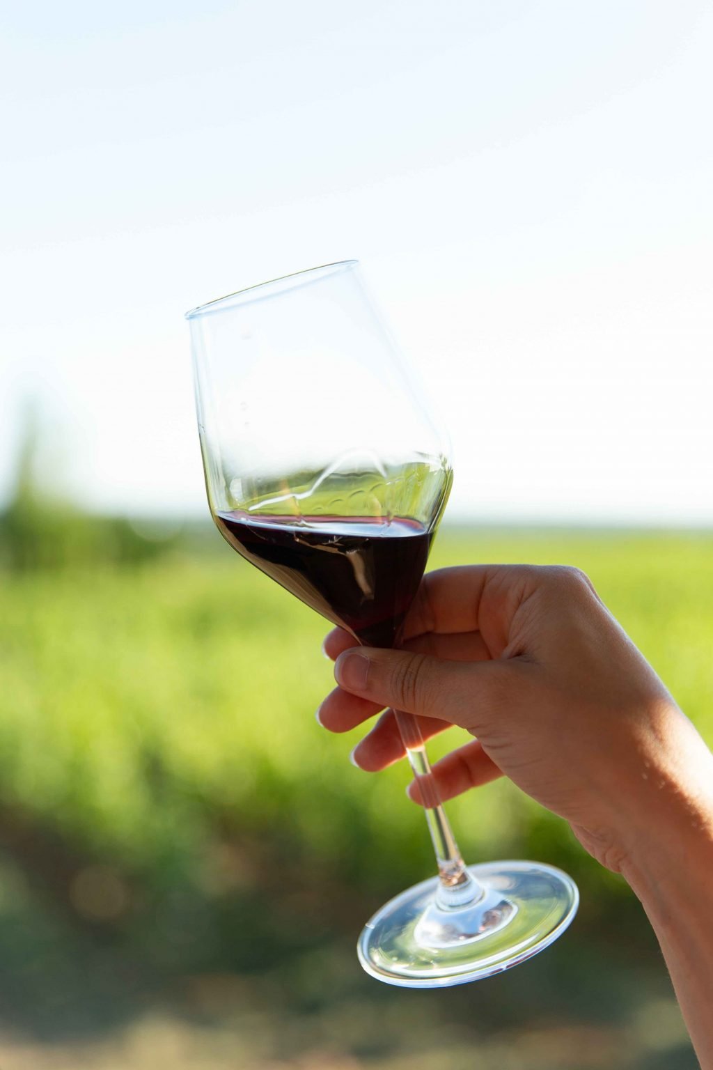 The Best Summer Red Wines - The Muddled Grape