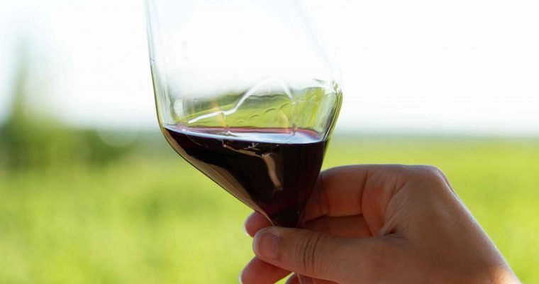 An image of someone holding a glass of red wine with a green pasture in the background.